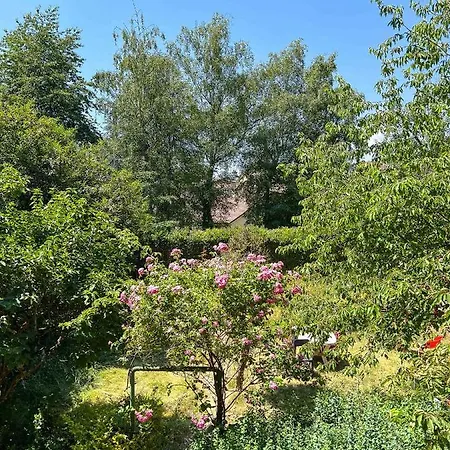 Apartment Le Jaures - Jardin Prive Et Netflix Belfort